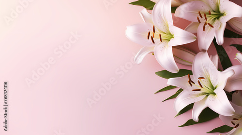 Beautiful lilies on the background