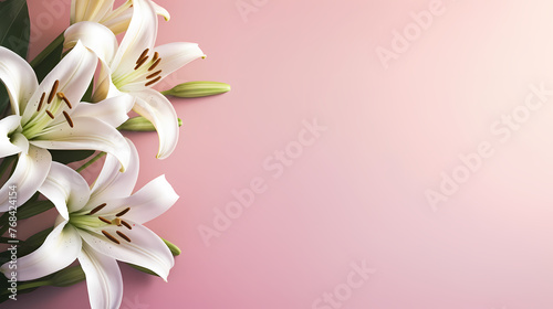Beautiful lilies on the background