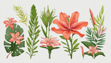 collection of tropical beach flowers isolated on a transparent background,   colorful background