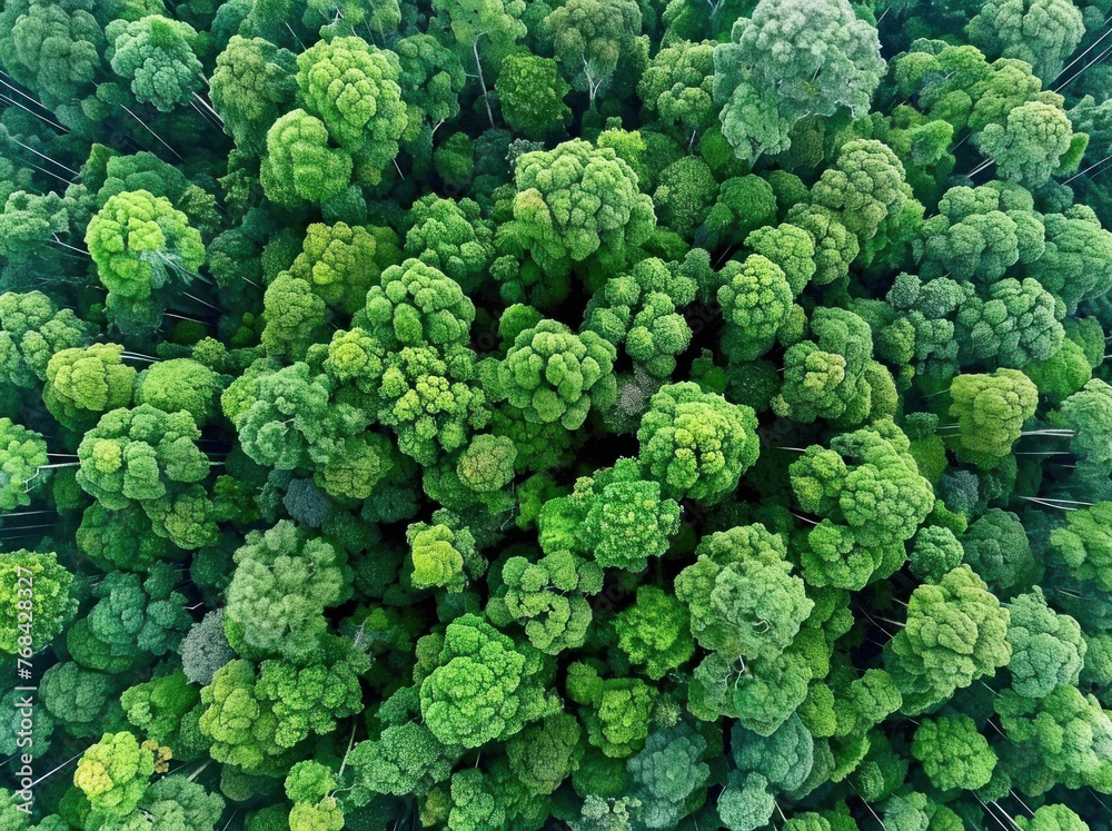 Imagine an image showcasing a close-up view of fresh broccoli, highlighted by its vibrant green color and intricate patterns that resemble natural fractals This broccoli, set against a white backgroun