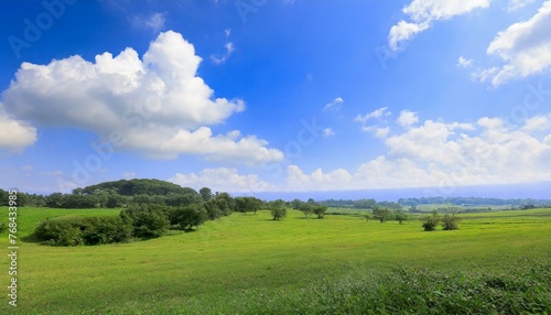 澄んだ青空と広がる野原の風景 Clear blue sky and wide field scenery