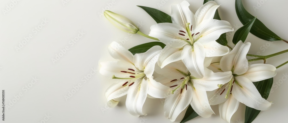   Bouquet of white lilies on white background with space for text or image