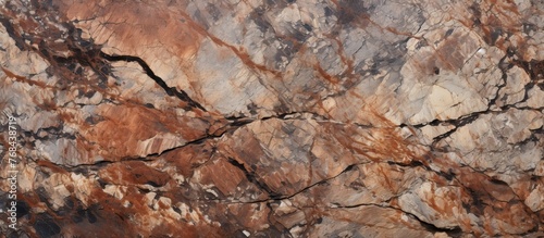 Close-up view of a rock showing a prominent crack running through its surface