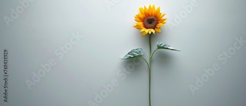   A yellow sunflower rests atop a white wall, accompanied by a green leafy plant in a vase