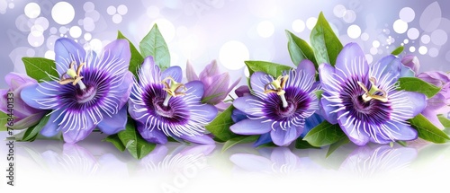   A cluster of purple blossoms atop a verdant tabletop near a blue-white backdrop