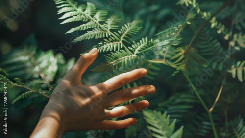 A woman's hand and a fern leaf. Man and nature. World Environment Day. World day against drought and drought problems.