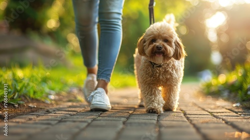 Close up photo of young woman walking with Cavapoo dog in public park bonding together morning photo
