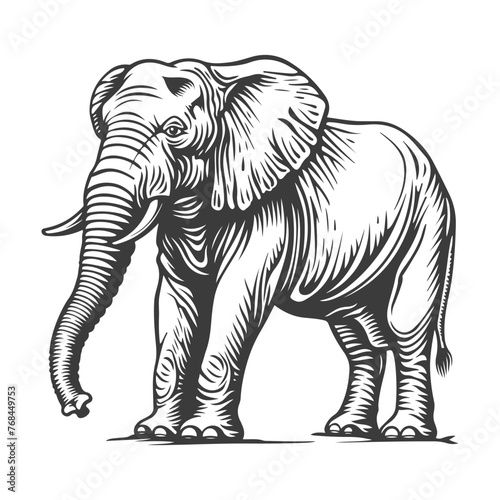 Elephant woodcut style drawing vector illustration