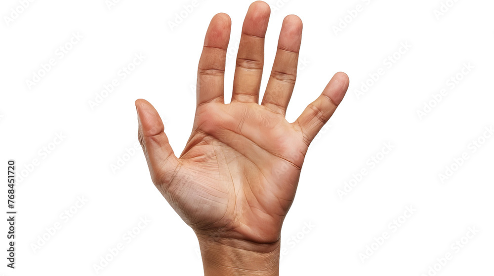 Fototapeta premium A hand is raised in the air with the fingers spread out