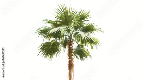 A Single Palm Tree in Florida flat vector isolated on hite background  © Nobel