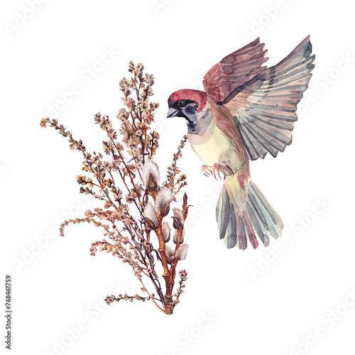 Watercolor bird sparrow and bouquet with willow and wild flower wormwood isolated on white background. Hand-drawn brown branch herb. Botanical illustration for wallpaper florist. Nature clipart