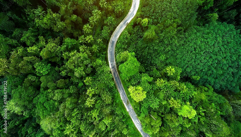 Rainy Season Serenity: Aerial View of Curving Road Through Green Forest