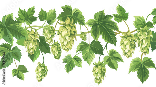 Fresh green hops and leaves on white background .. Fl