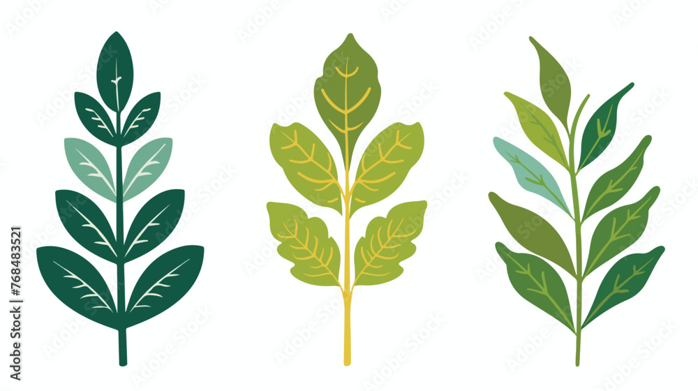 leaf's plant decorative icon flat vector  - obrazy, fototapety, plakaty 