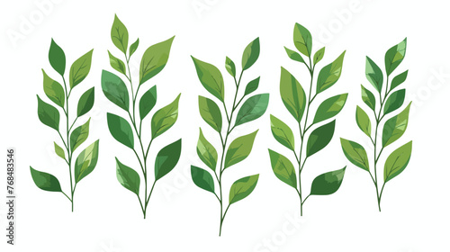 leaf's plant decorative icon flat vector  photo