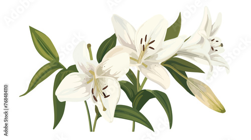 Lily. White ilium lilies. Beautiful spring flowers.