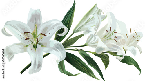 Lily. White ilium lilies. Beautiful spring flowers. photo