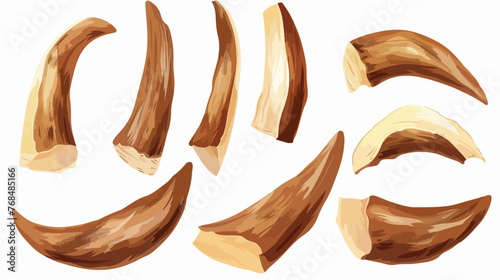 Slices of maral horns on a white background. Maral an