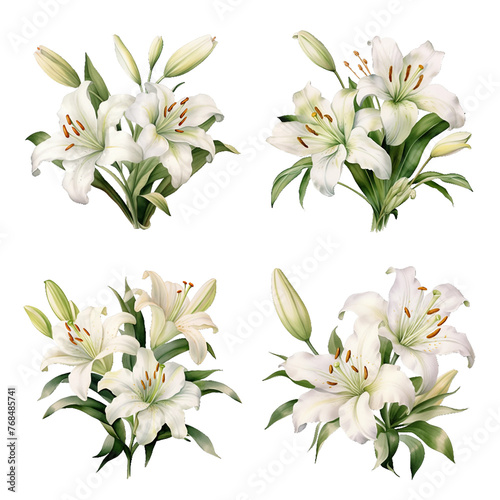 Set of lily branches with beautiful white flowers isolated on PNG background. Generative AI.