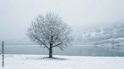 The picture of the single tree that has been covered with white snow in the middle of the empty snow land in the winter season and light from the sun can make everything bright clear on land. AIGX03.
