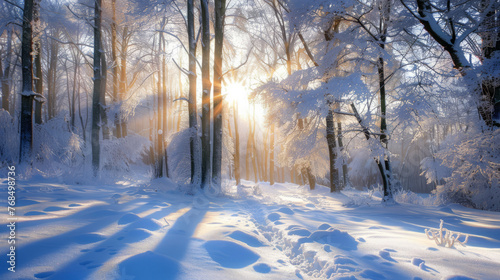 The sun casting its golden glow on a snow-covered forest floor with intricate shadow patterns by the tall trees