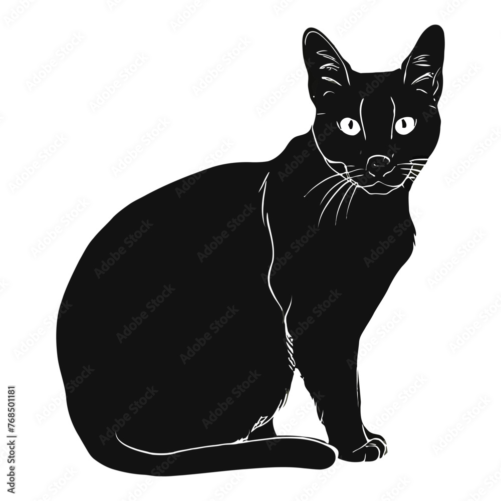 Fototapeta premium American Shorthair Silhouette