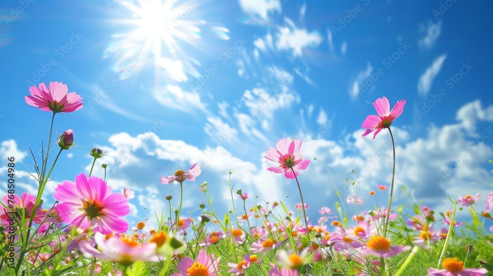 A summer meadow bursts with colorful wildflowers under a bright blue sky A summer meadow bursts with colorful wildflowers under a bright blue sky