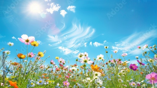A sunny meadow bursts with colorful wildflowers under a bright blue sky