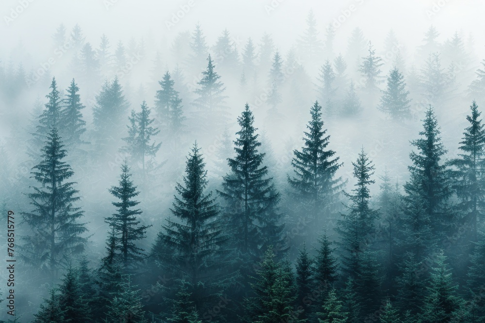Enchanting Misty Forest Landscape with Tall Pine Trees on a Foggy Morning
