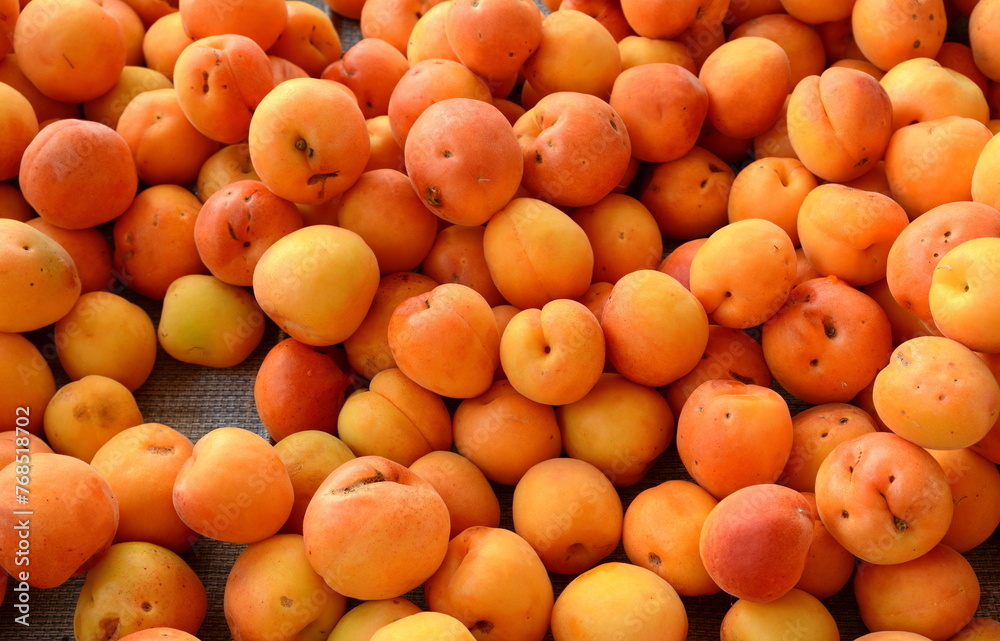 Fresh ripe Apricots on the market. 