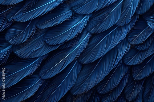 Blue feathers background © Picasso