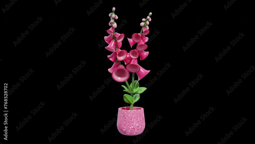 3D Animation of The Charm of Foxglove Flowers | Alpha Channel 3D Animation of The Charm of Foxglove Flowers | Alpha Channel