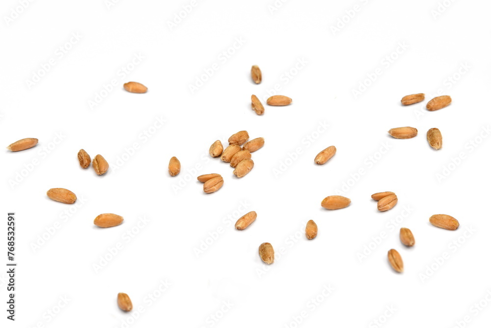 spelt grain isolated on white background spelt grain isolated on white background