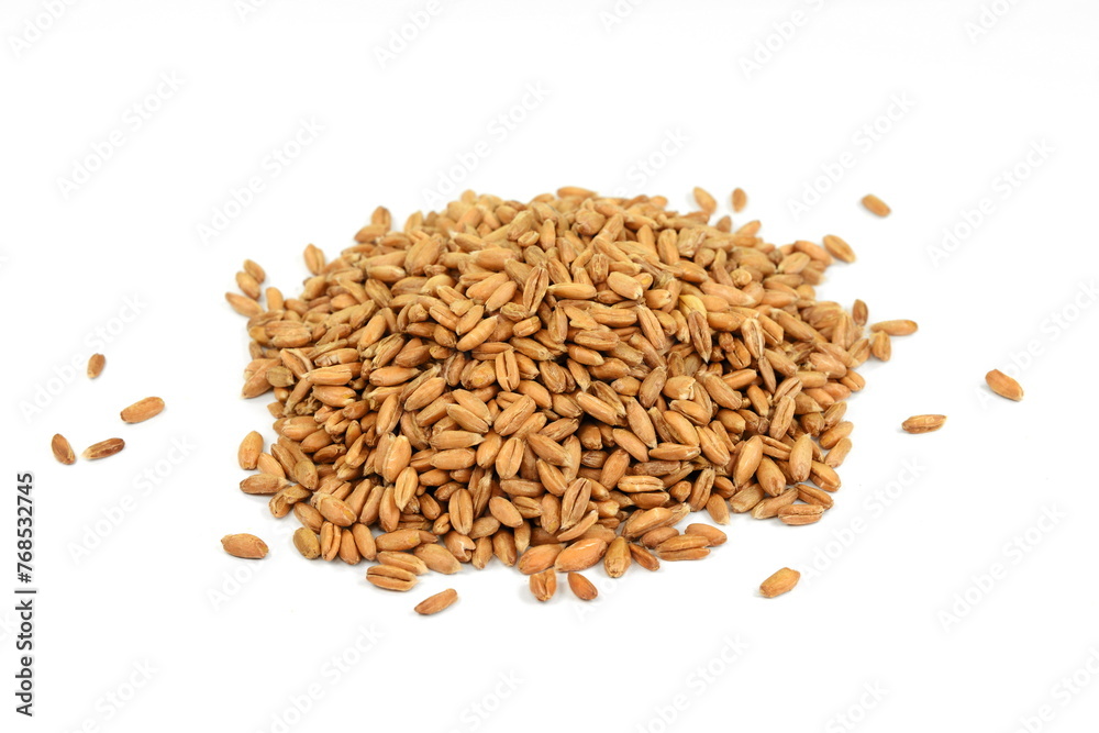 spelt grain isolated on white background spelt grain isolated on white background