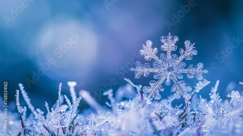 Close Up of a Snowflake in the Snow