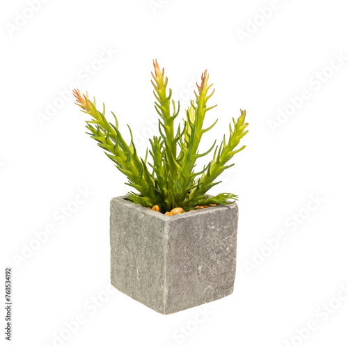 artificial plant in flower pot isolated on white