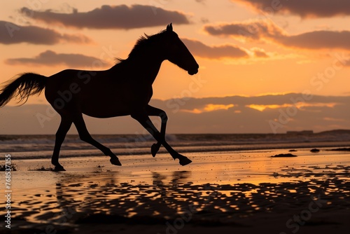 silhouette of a horse at dusk, running on wet sand