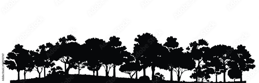 trees silhouette vector illustration