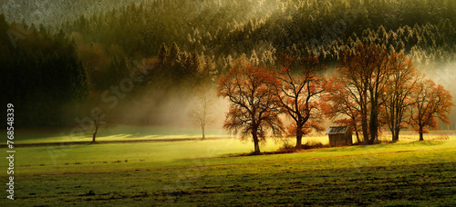 Finest autumn lansdcape of Bavarian nature with several trees and magestic light and fog. Scenic panoramic view of field, forest and small wooden house in fall. Bavaria, Germany (Deutschland) photo