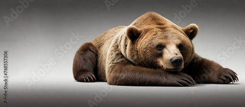 Eurasian brown bear (Ursus arctos arctos) isolated on white background GENERATIVE BY AI.. photo