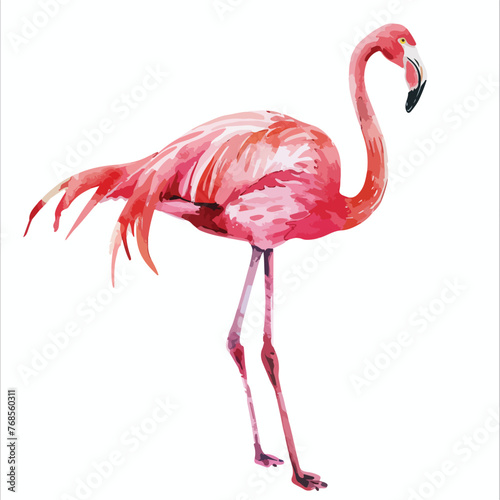 Watercolor Pink Flamingo Clipart clipart isolated on