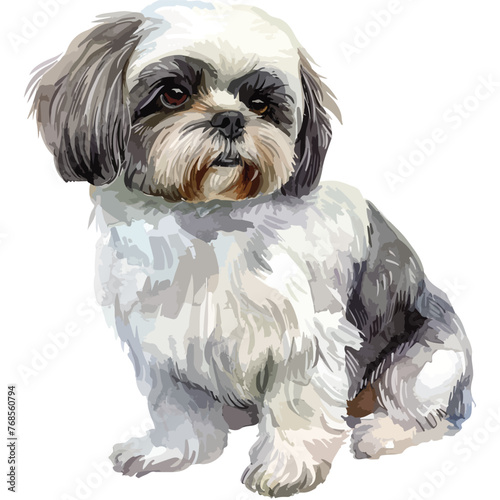 Watercolor Shih Tzu Clipart clipart isolated on white