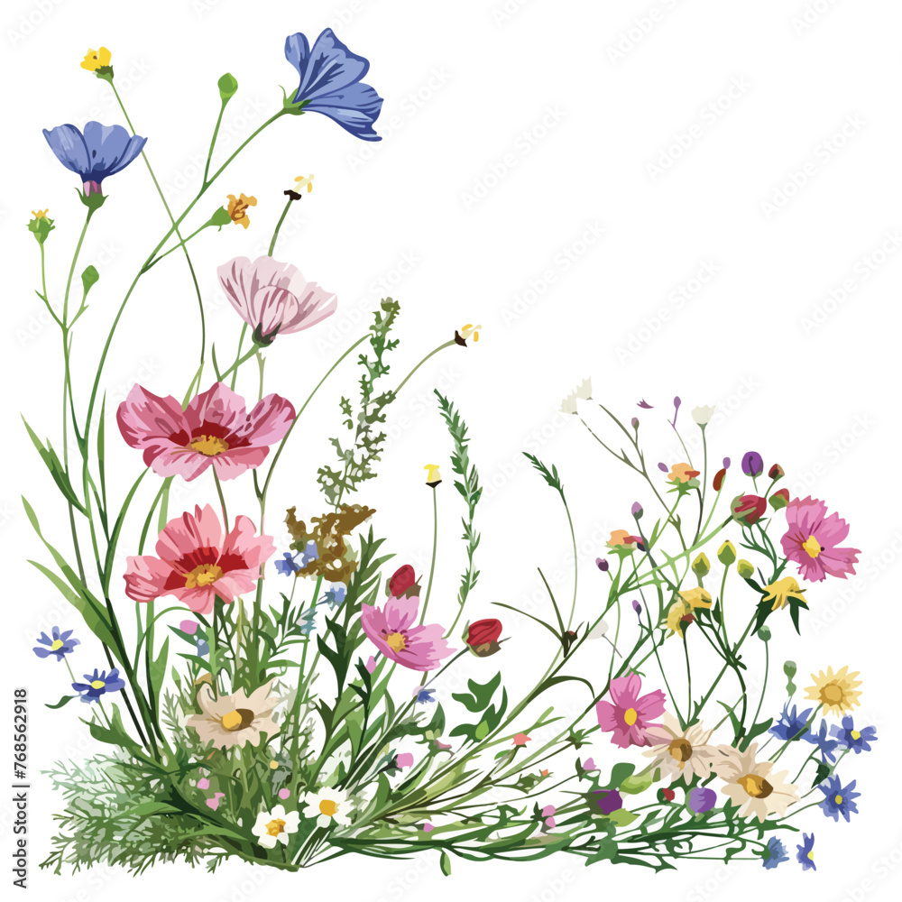Wildflower Clipart isolated on white background