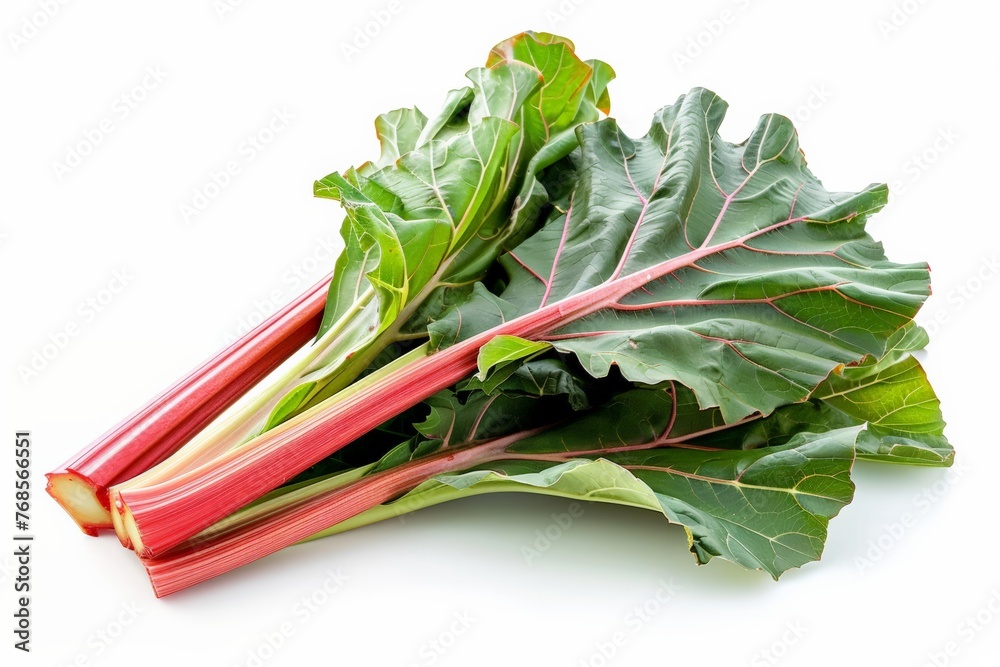 A fresh rhubarb plant with its red stalks and large green leaves, isolated on a white background A fresh rhubarb plant with its red stalks and large green leaves, isolated on a white background
