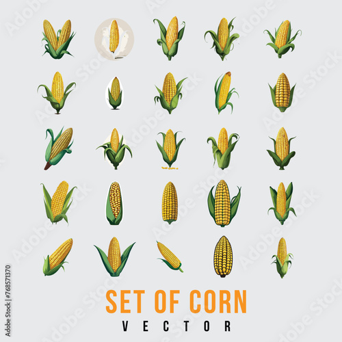 Set of Corn Vector Editable.