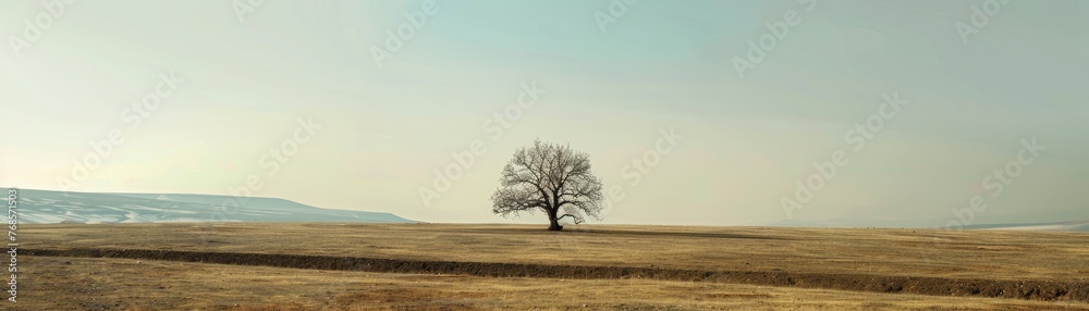 A lone tree standing resilient in a vast open landscape