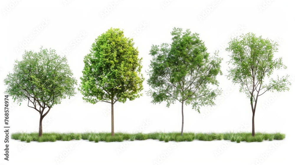 An isolated white background showing four trees - obrazy, fototapety, plakaty 