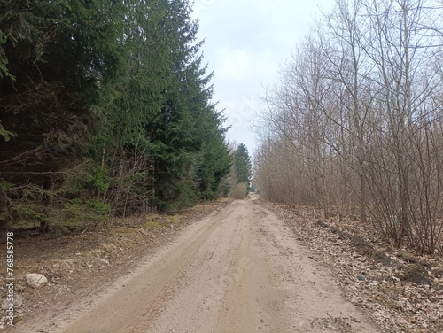 Road in forest in Siauliai county during cloudy early spring day. Oak and birch tree woodland. cloudy day with white clouds in blue sky. Bushes are growing in woods. Sandy road. Nature. Miskas.  © Mindaugas