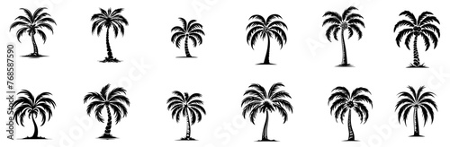 palm trees vector illustration silhouette for laser cutting cnc  engraving  decorative clipart  black shape outline