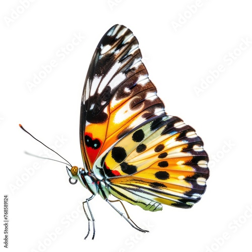 Beautiful colorful butterfly flying, isolated on white, professional photo © shooreeq